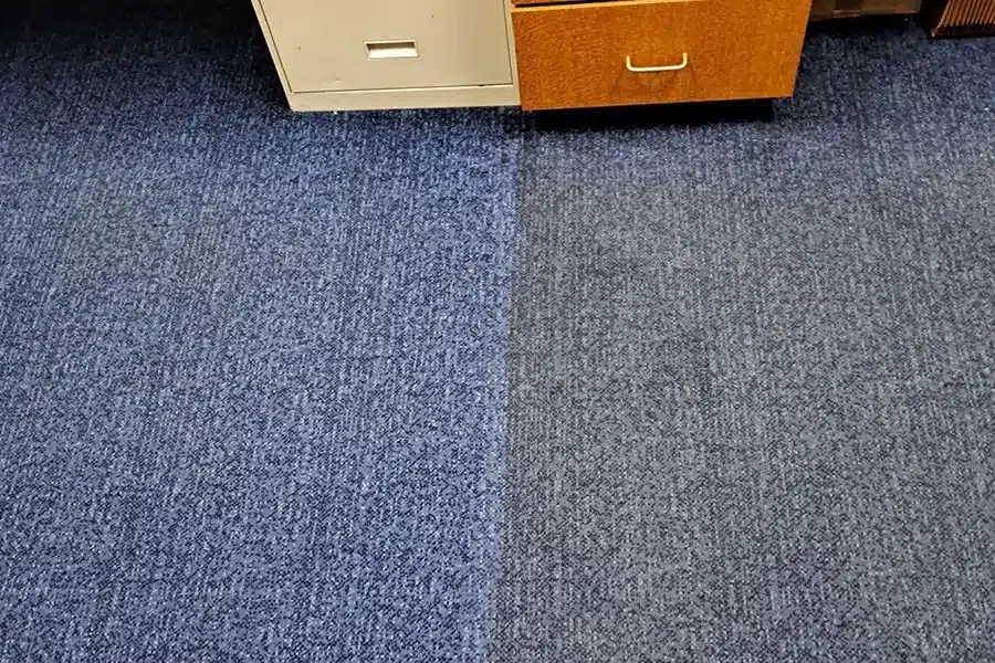 The Visible Transformation of Professional Carpet Cleaning Pinnacle