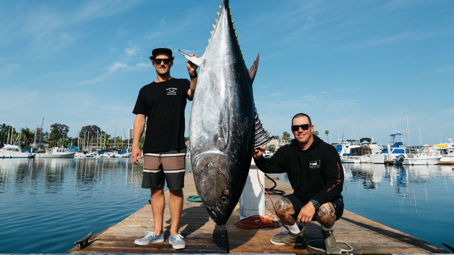 Pinnacle Sportfishing San Diego's Premiere Sportfishing Charter