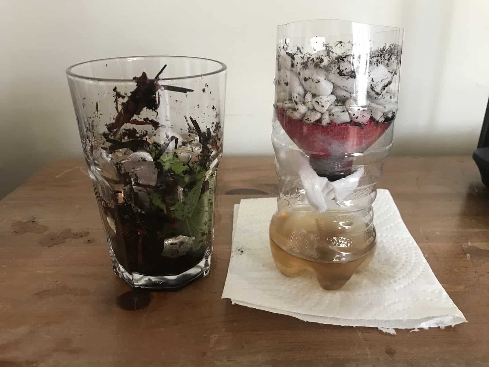 Create a Water Filter from Recycled and Natural Materials Pinnguaq