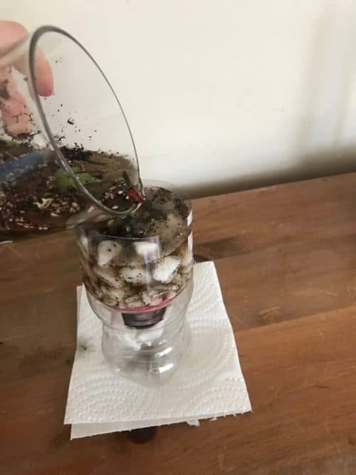 Create a Water Filter from Recycled and Natural Materials Pinnguaq