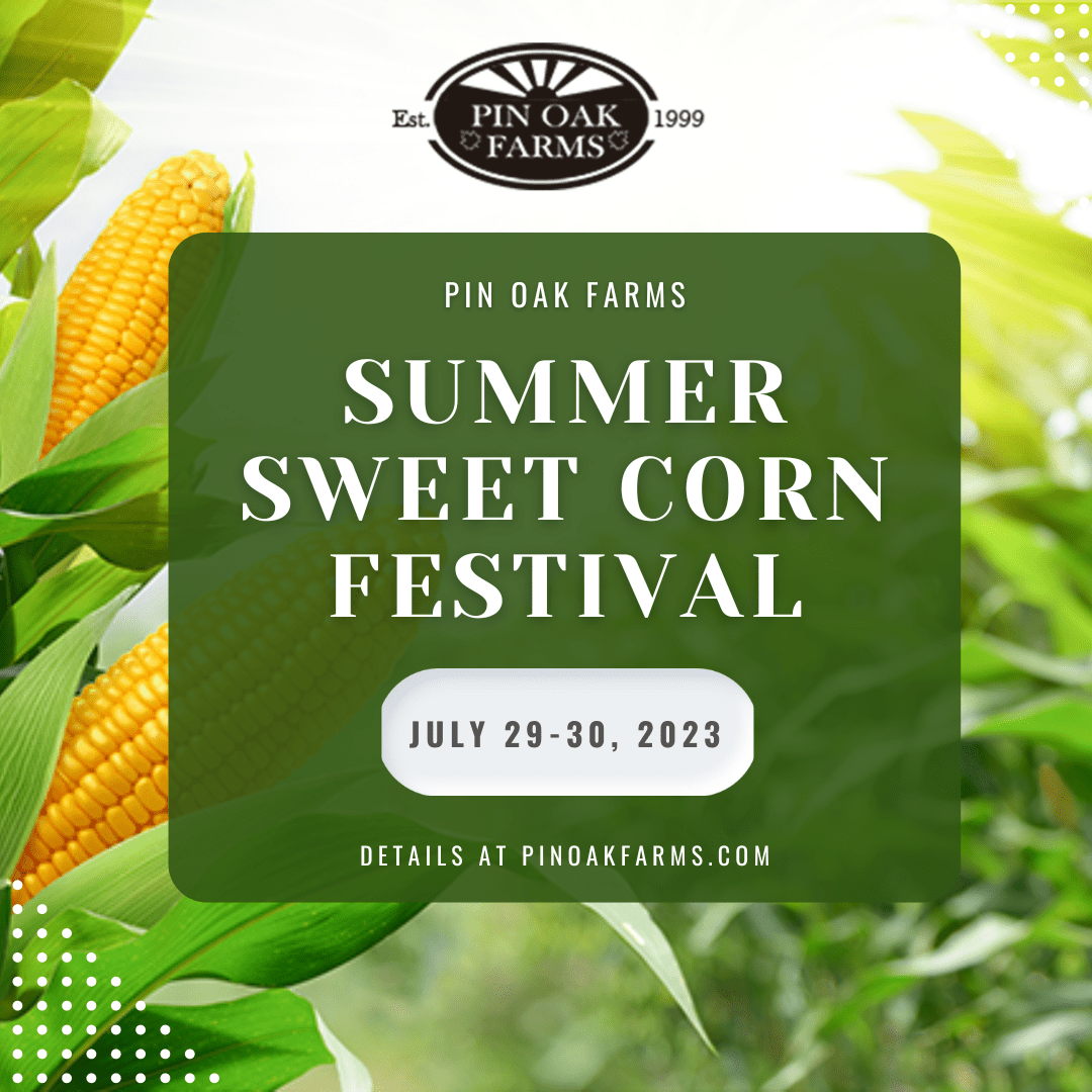 Family Events at the Farm UPick Seasonal Festivals