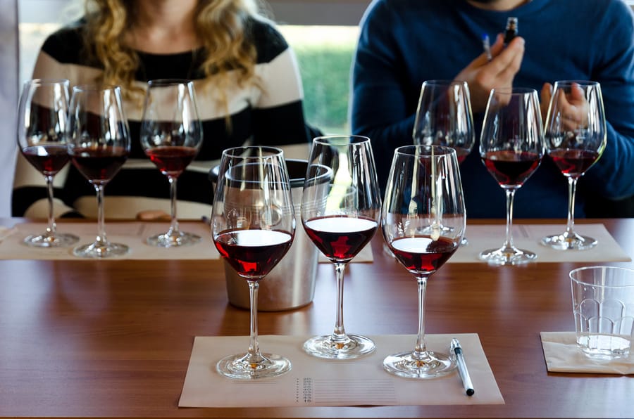 Wine Tasting Etiquette Should You Sip or Spit Wine? Pinot Squirrel