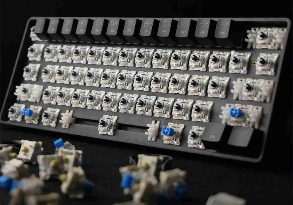 Plate Mounted VS PCB Mounted Mechanical Keyboard Switches