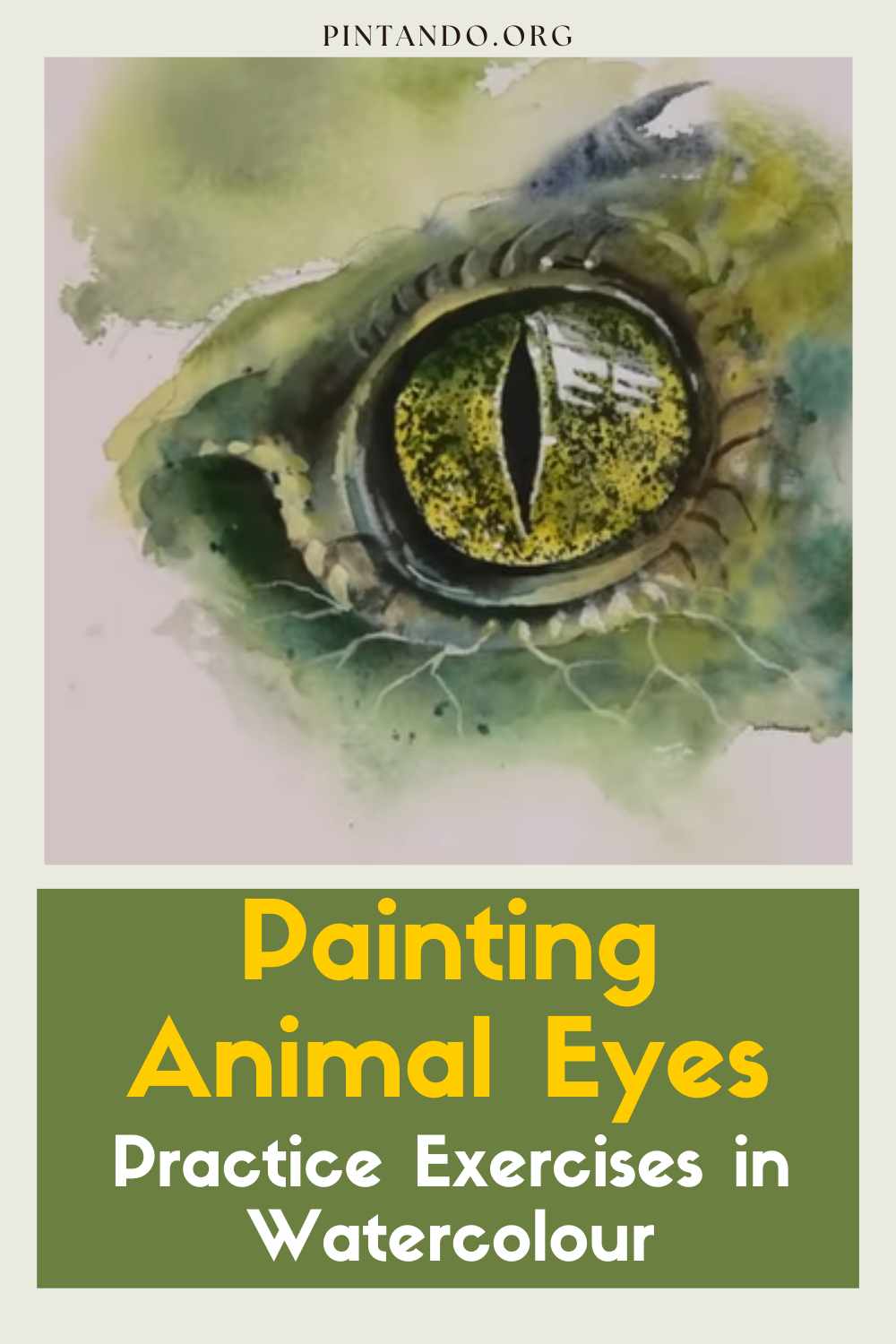 Painting Animal Eyes Practice Exercises in Watercolour