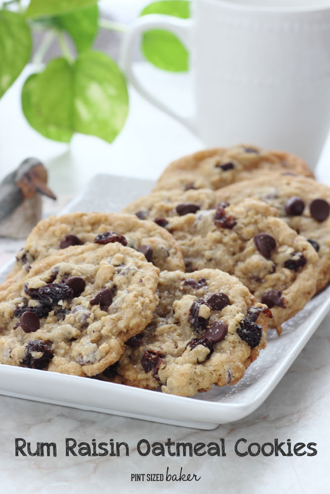 Rum Raisin Oatmeal Chocolate Chip Cookies • Pint Sized Baker