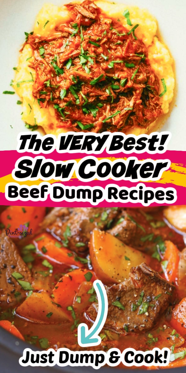 Best Beef Dump Crockpot Recipes · Pintsized Treasures