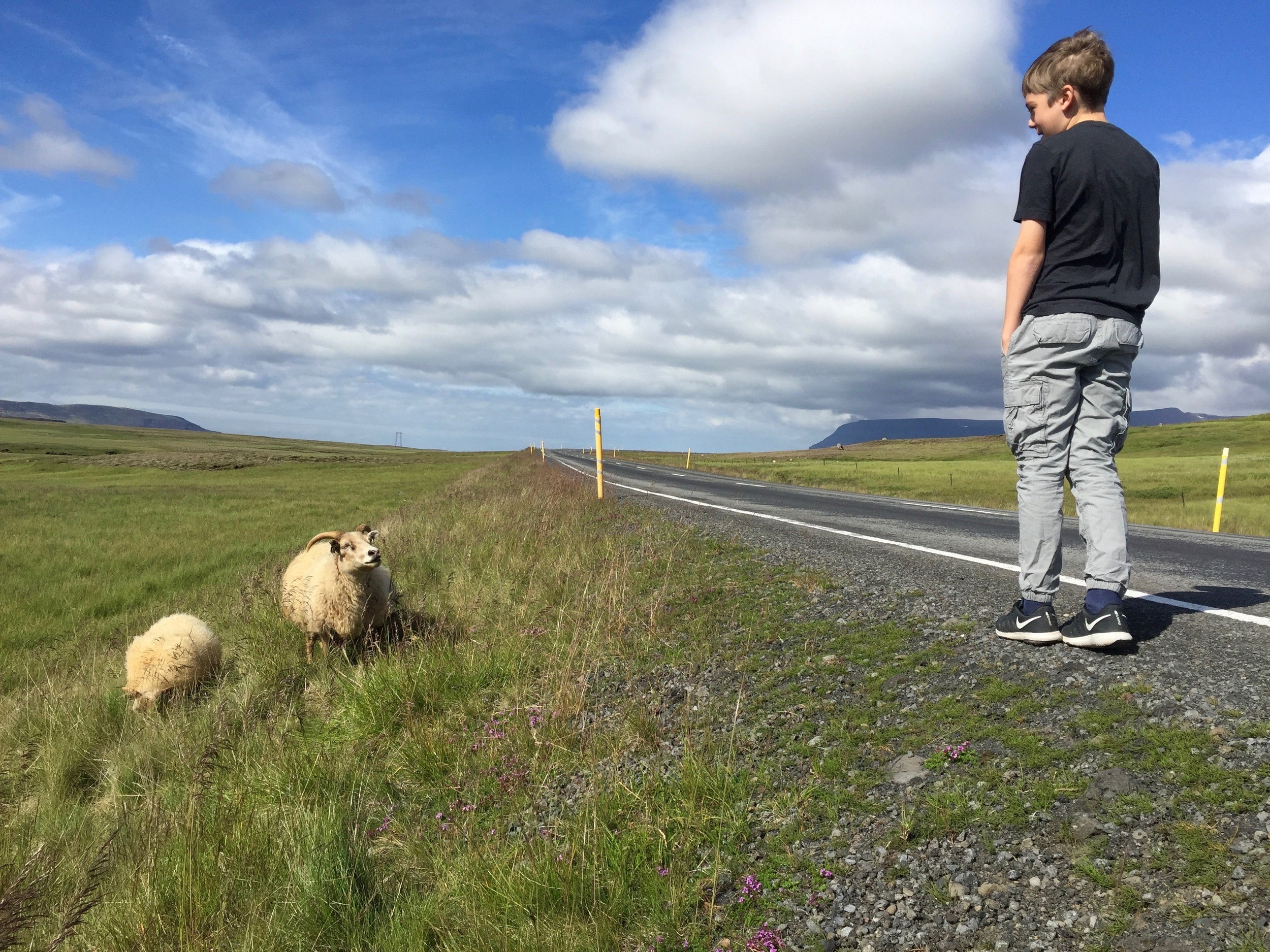 12 Best Iceland Car Rental Tips (2024) Iceland Rent a Car Guide