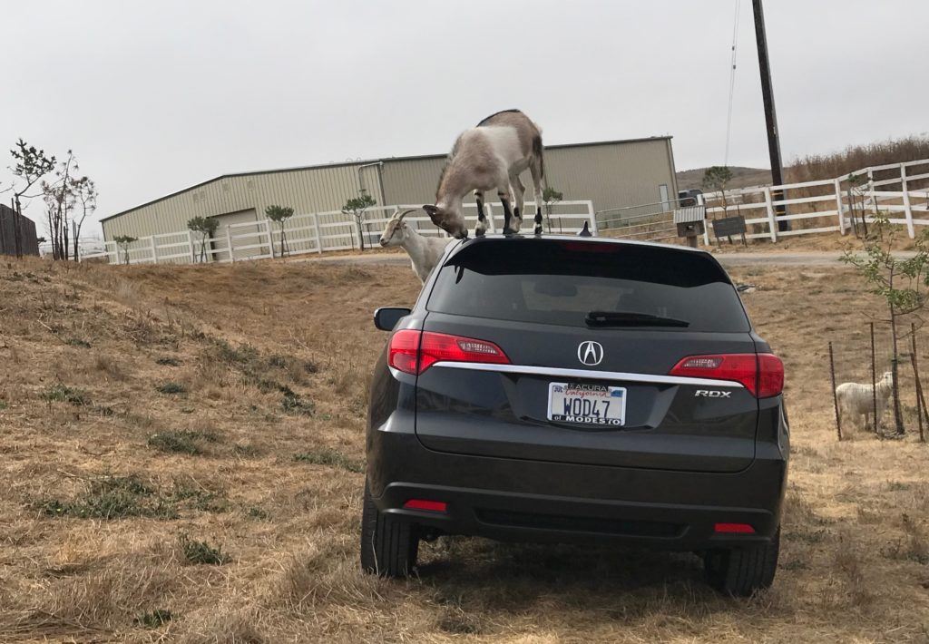 12 Best Iceland Car Rental Tips (2024) Iceland Rent a Car Guide