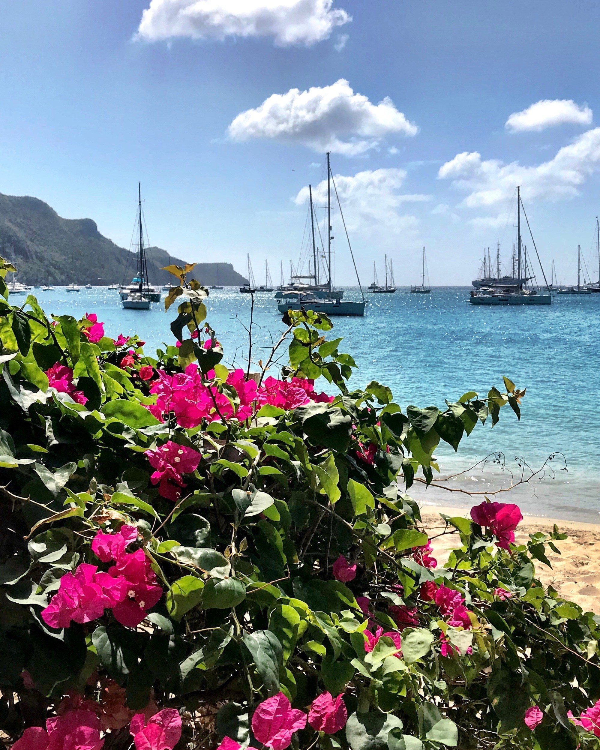 Discover the Top Things to do in Bequia St. Vincent and the Grenadines