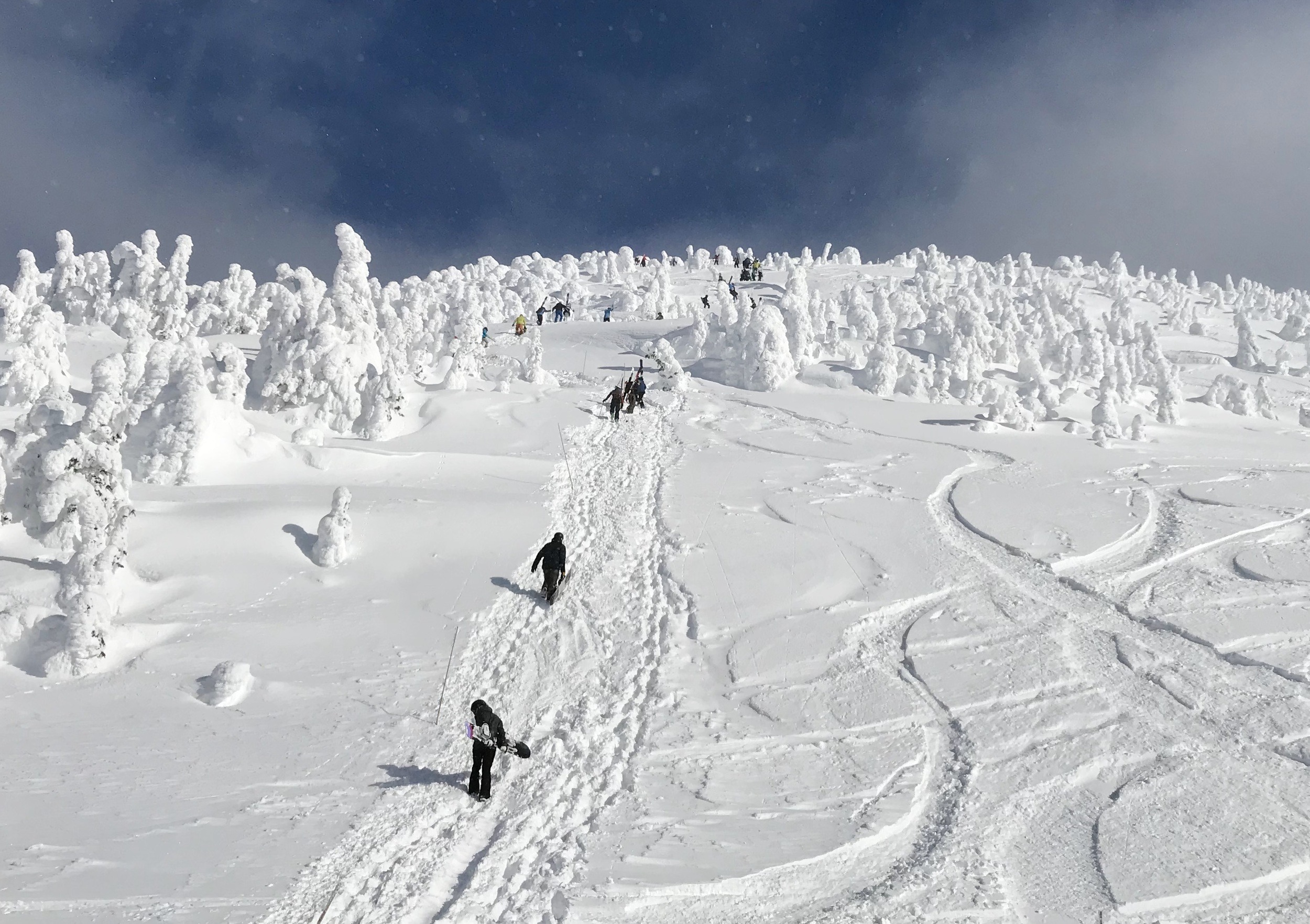 Revelstoke A Revelstoke Mountain Resort Ski Trip Guide