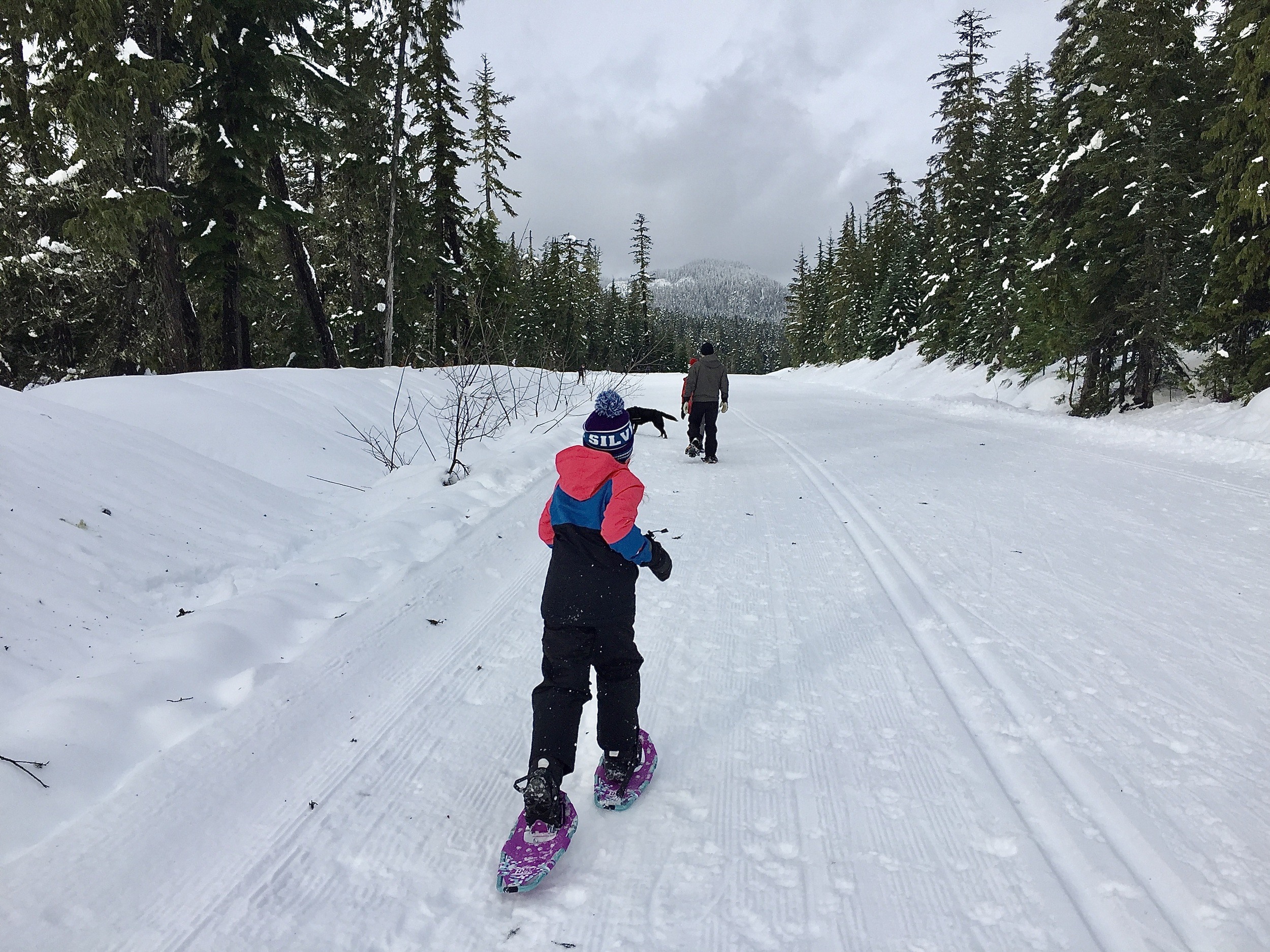 WhistlerSnowshoeing pint size pilot