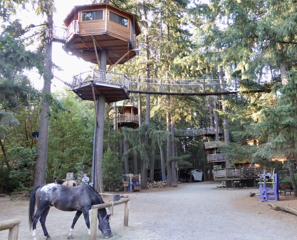 A unique stay with the kids in an Oregon tree house