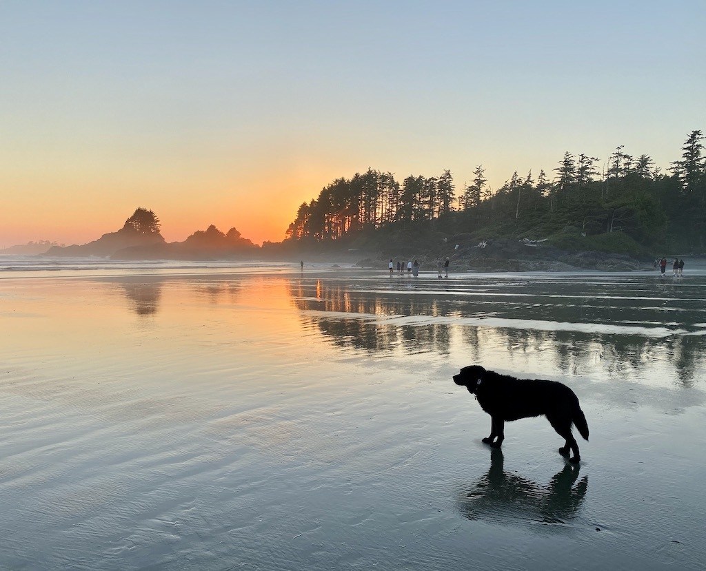 CoxBayTofino pint size pilot