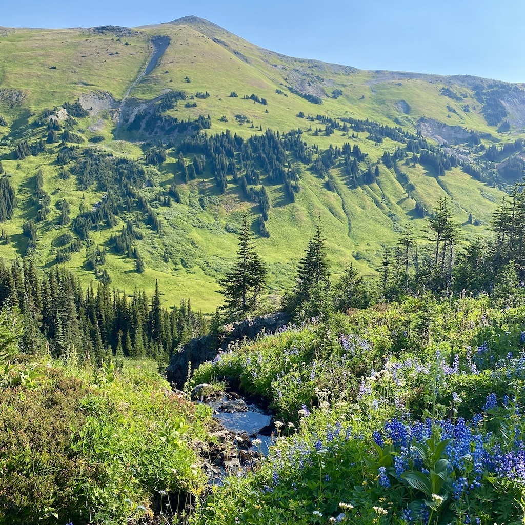 WhitecapAlpineHiking pint size pilot