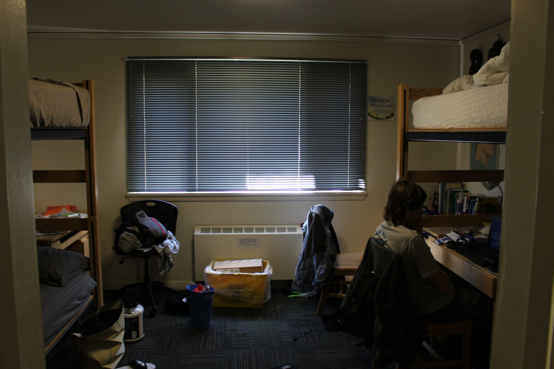 Lewis And Clark College Dorms