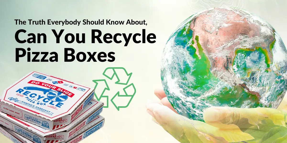 The Truth Everybody Should Know About, Can You Recycle Pizza Boxes