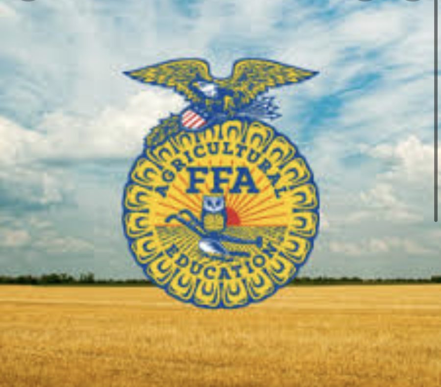 FFA Dress Up Days Pioneer Pages