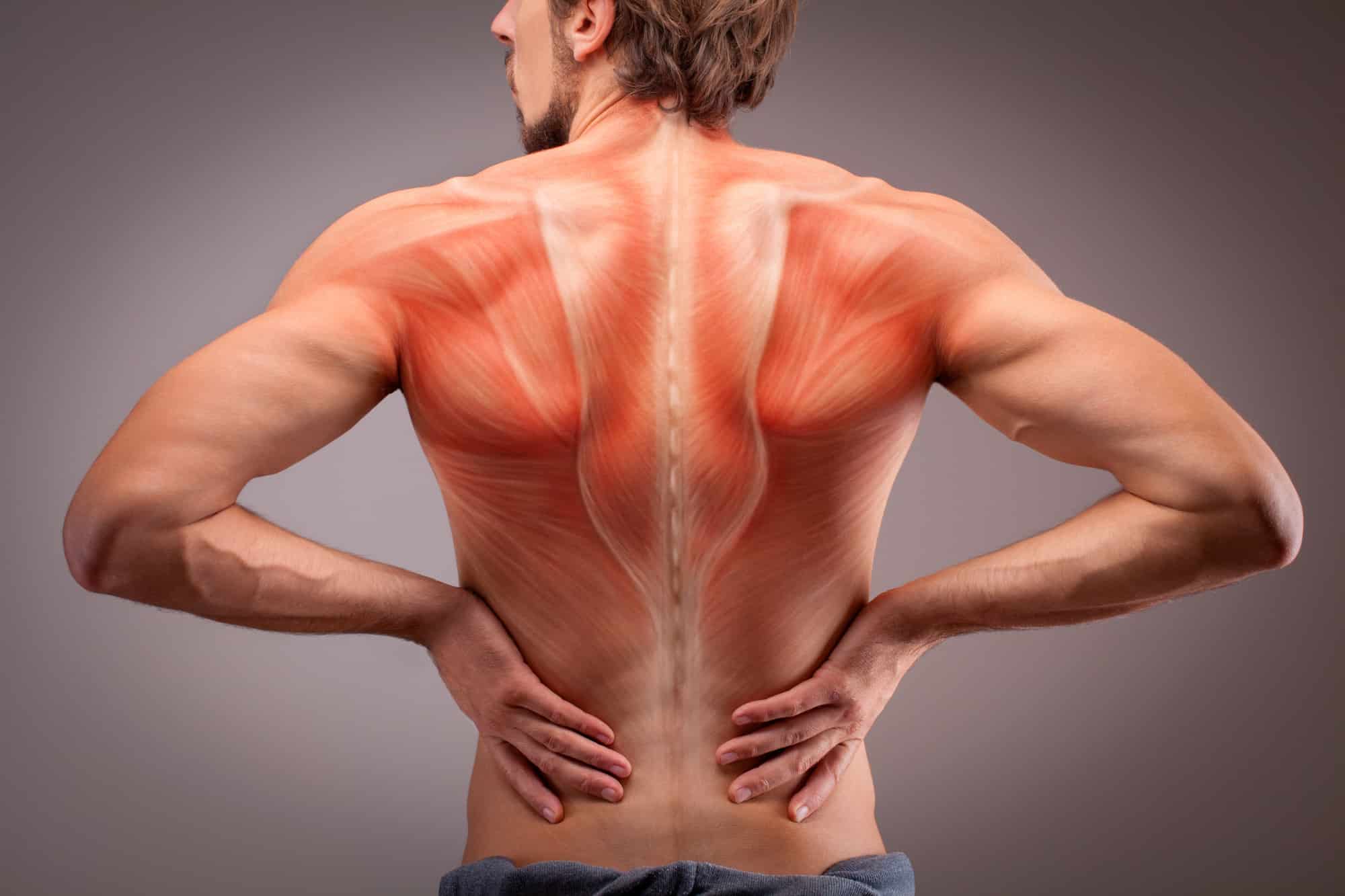 Signs and Symptoms Your Back Pain Is An Emergency Preferred Injury