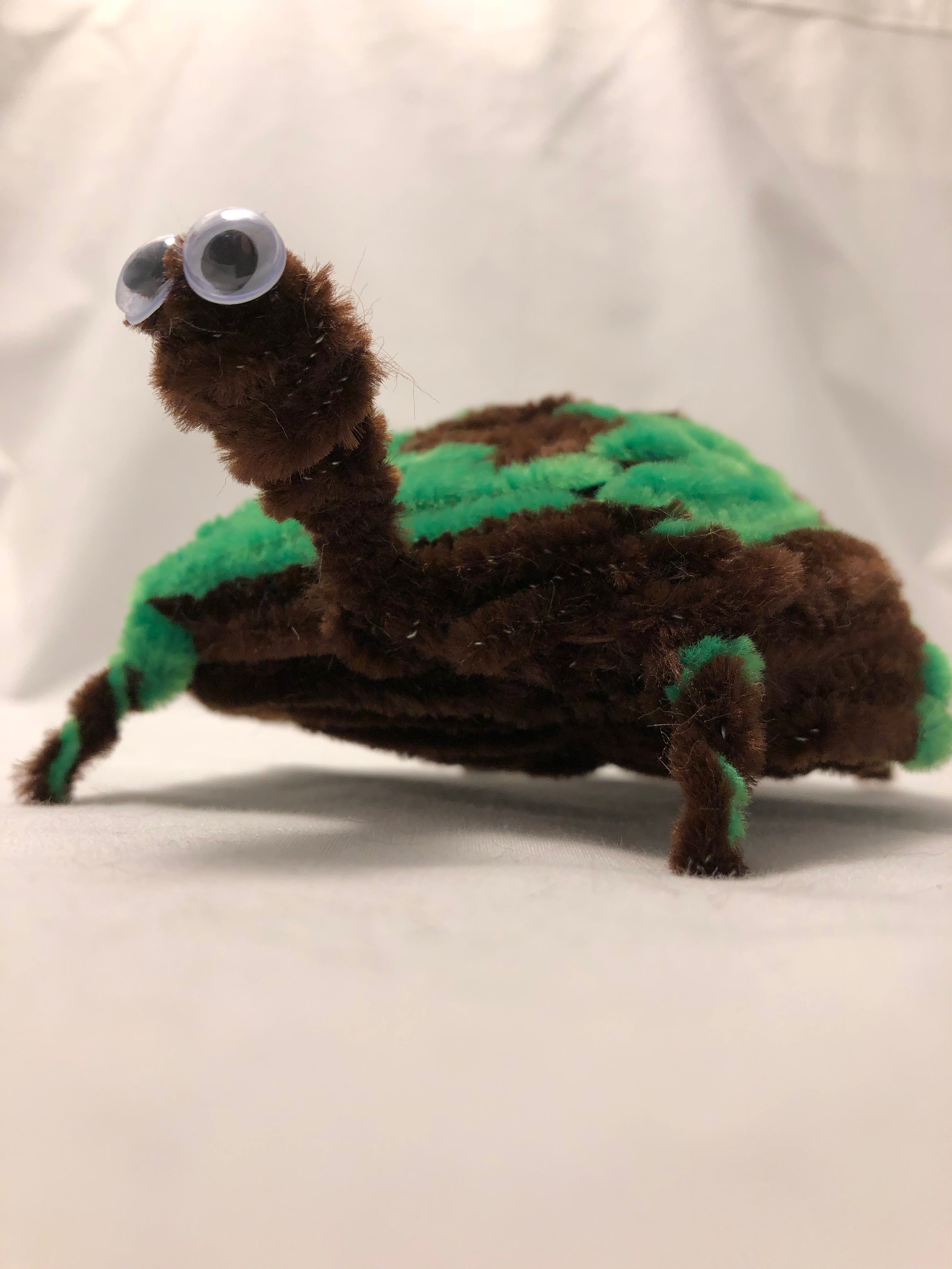 pipe cleaner turtle 2 Pipe Cleaner Animals