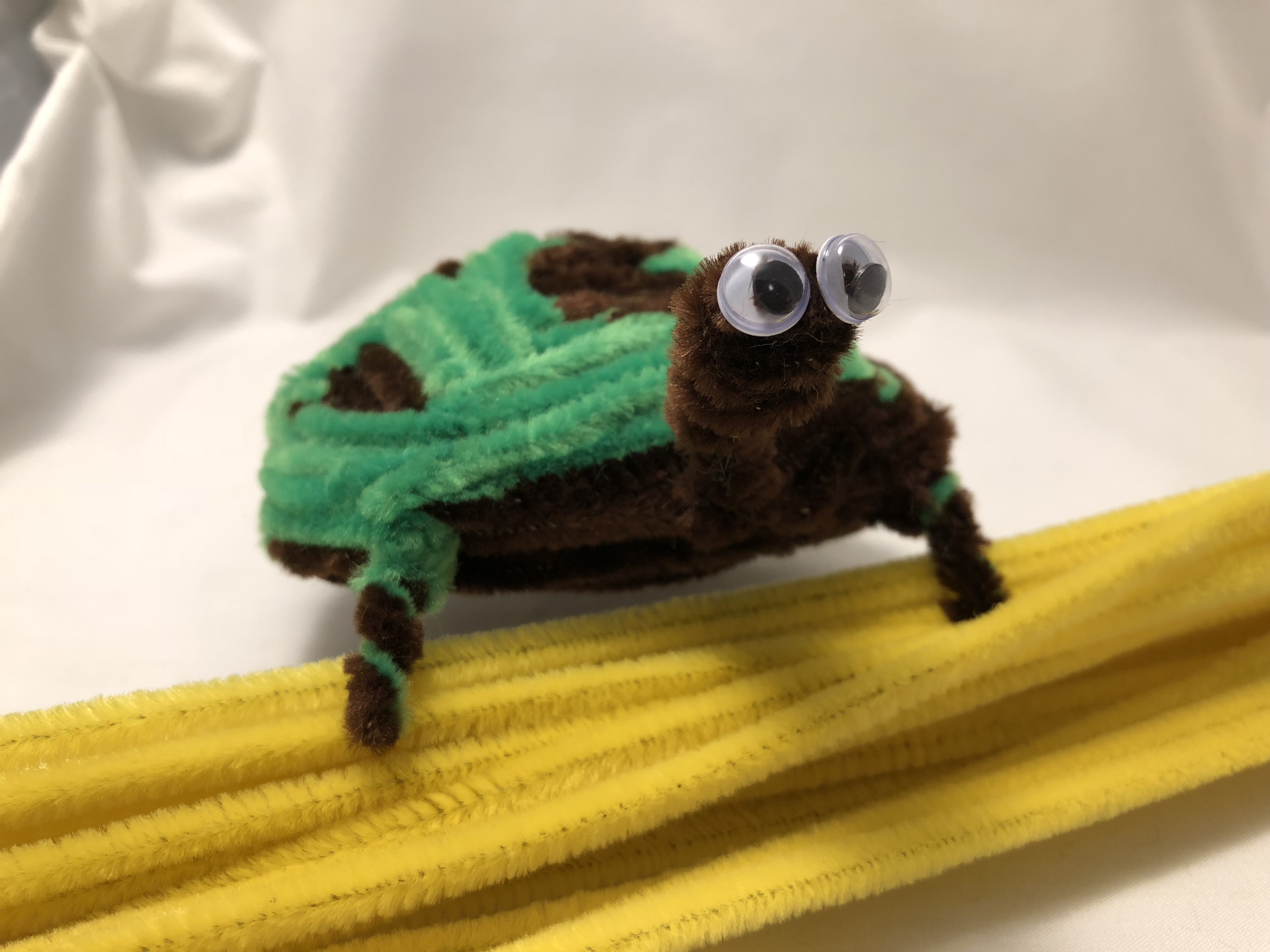 pipe cleaner turtle climbing Pipe Cleaner Animals
