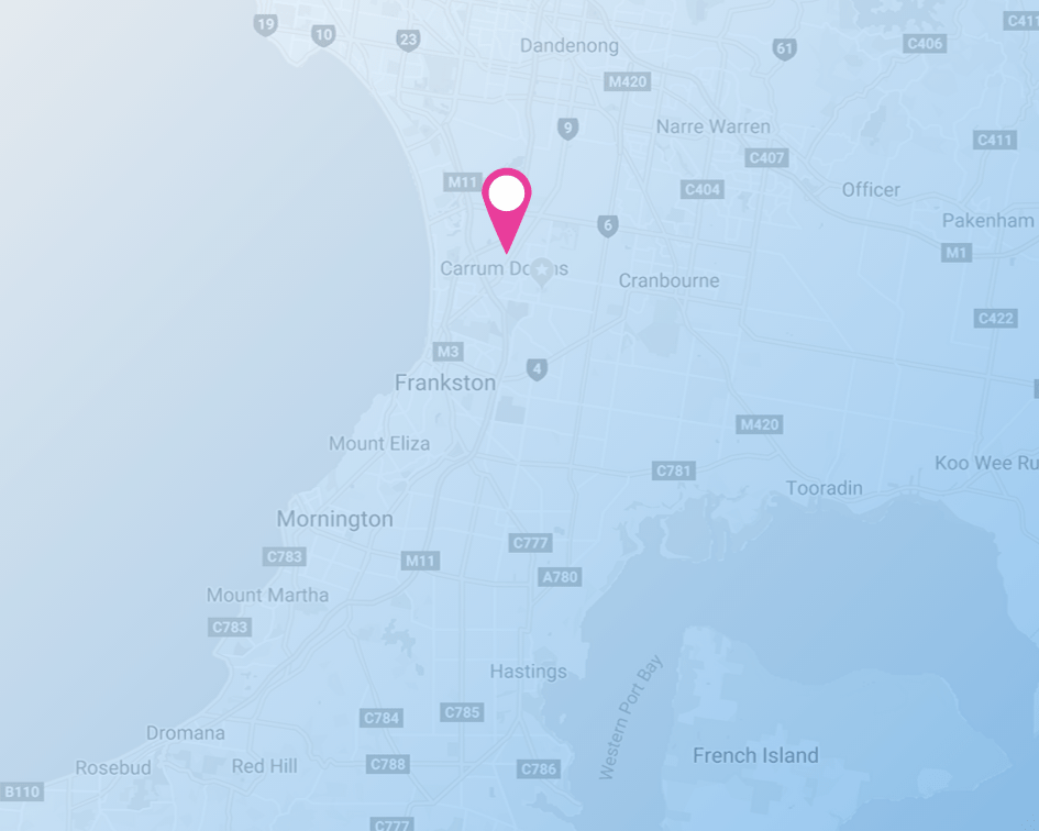 Affordable Plumber Carrum Downs Pipe Monkey Plumbing & Gas