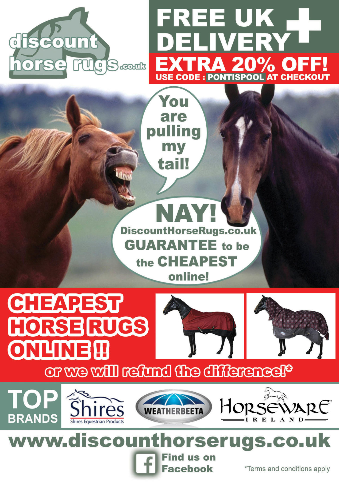 Discount Horse Rugs Branding Project Pip Harris Design