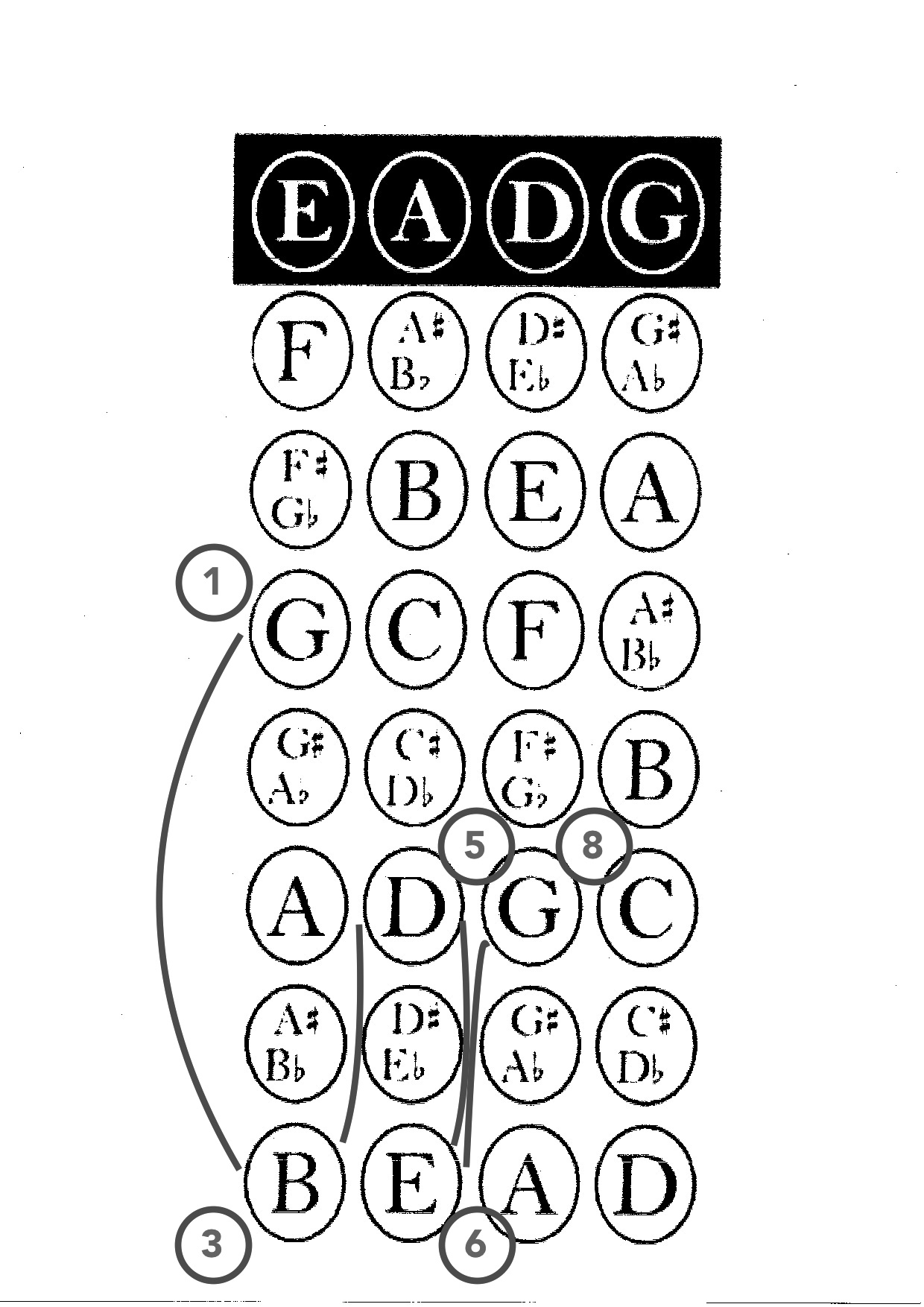 Jenine’s Guide to being a passable bluegrass bass player The Pipipickers