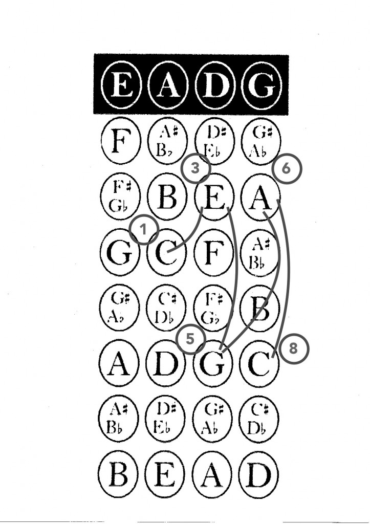 Jenine’s Guide to being a passable bluegrass bass player The Pipipickers