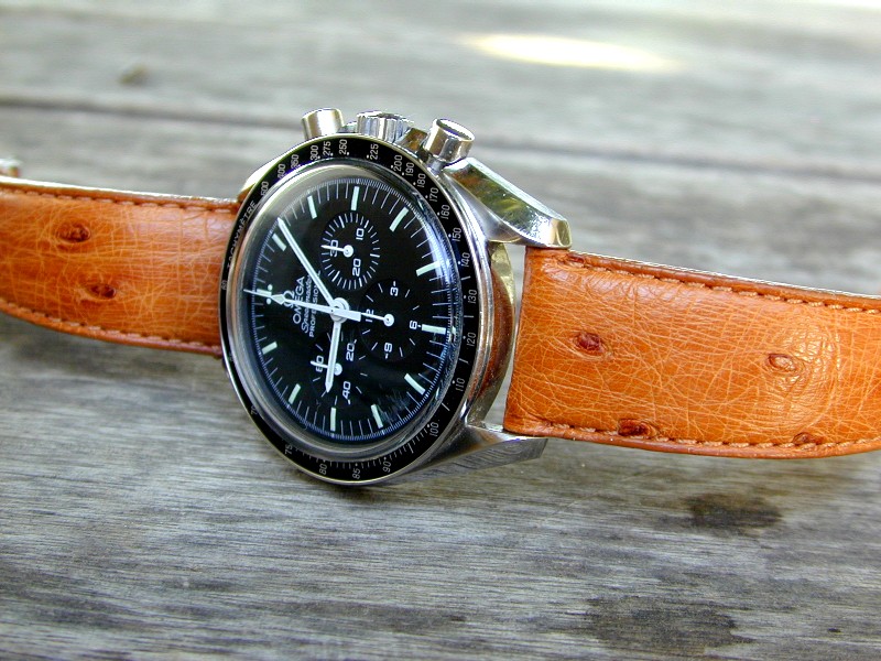 Black face, brown band? Seiko & Citizen Watch Forum