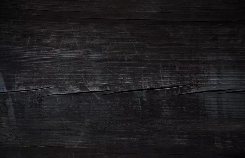 Pirates Voyage Dinner & Show Sets Sail on a Holiday Expedition