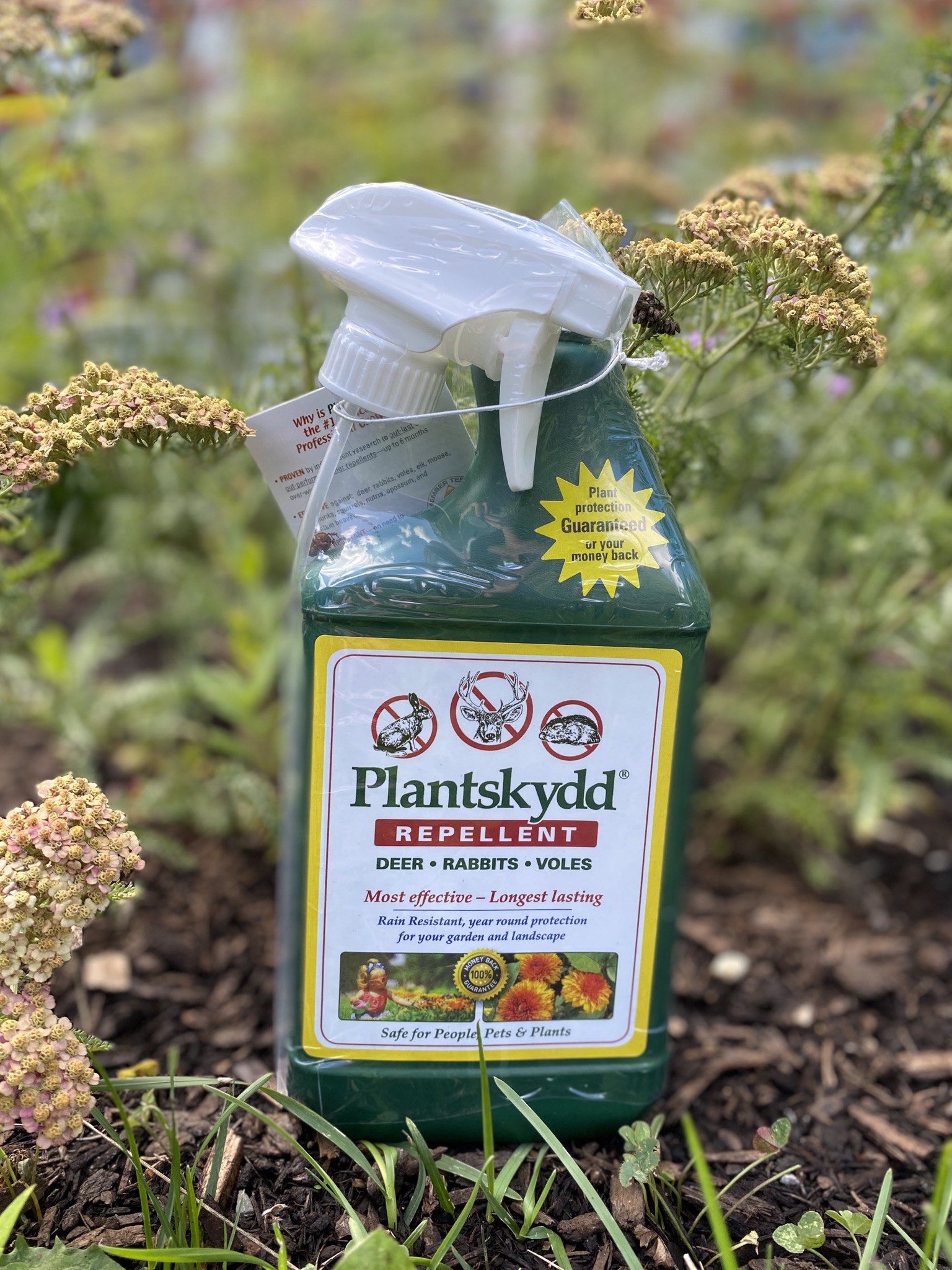 PlantSkydd 1 Quart Spray Bottle Piscataquis County Soil & Water