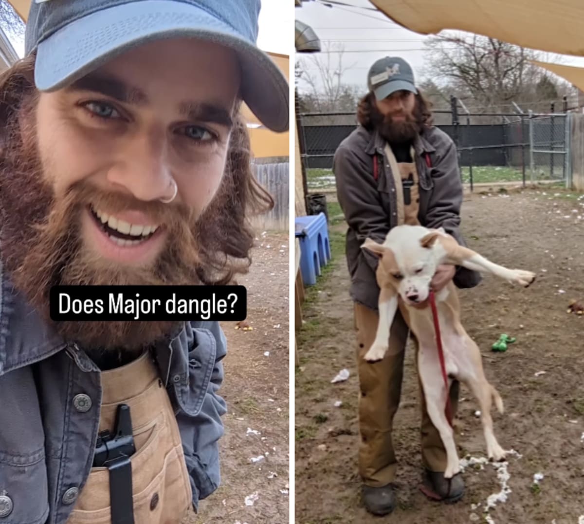 Animal rescue worker has the best job in the world doing 'dangle tests
