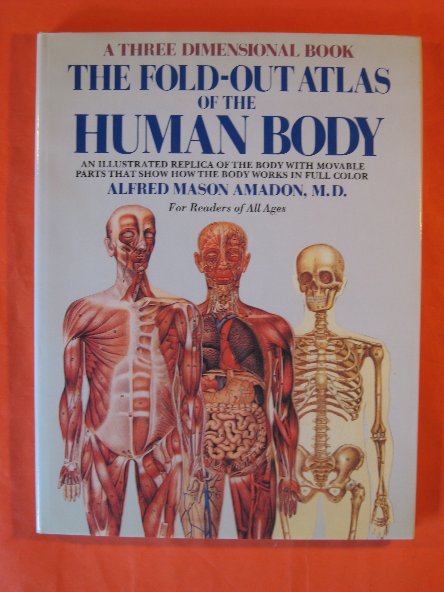 The FoldOut Atlas of the Human Body An Illustrated Replica of the Body with Movable Parts That