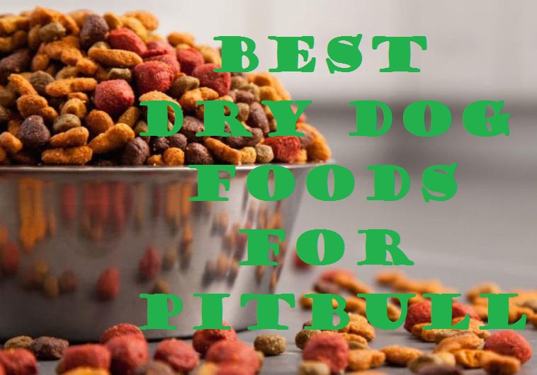 Finding what's the best dog food for your pitbull? 3 best dry dog food