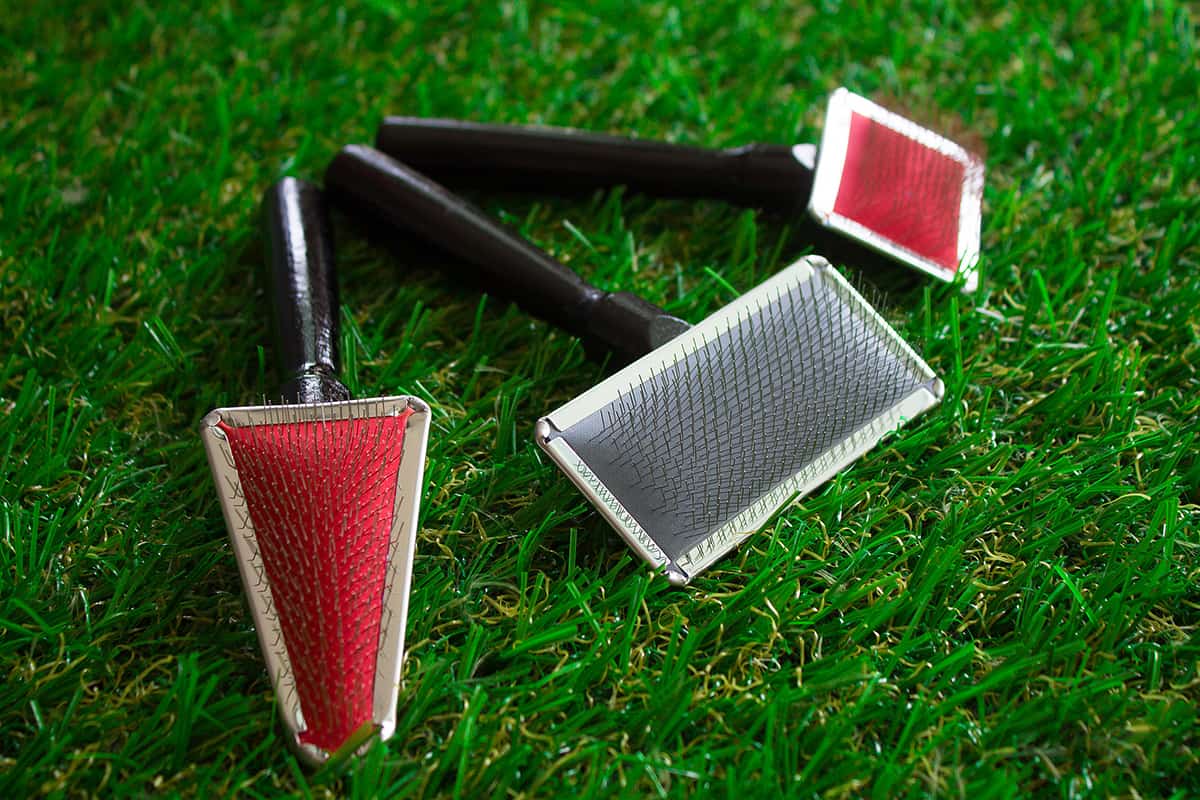 Best Brush for Pitbulls (Owner's Guide)