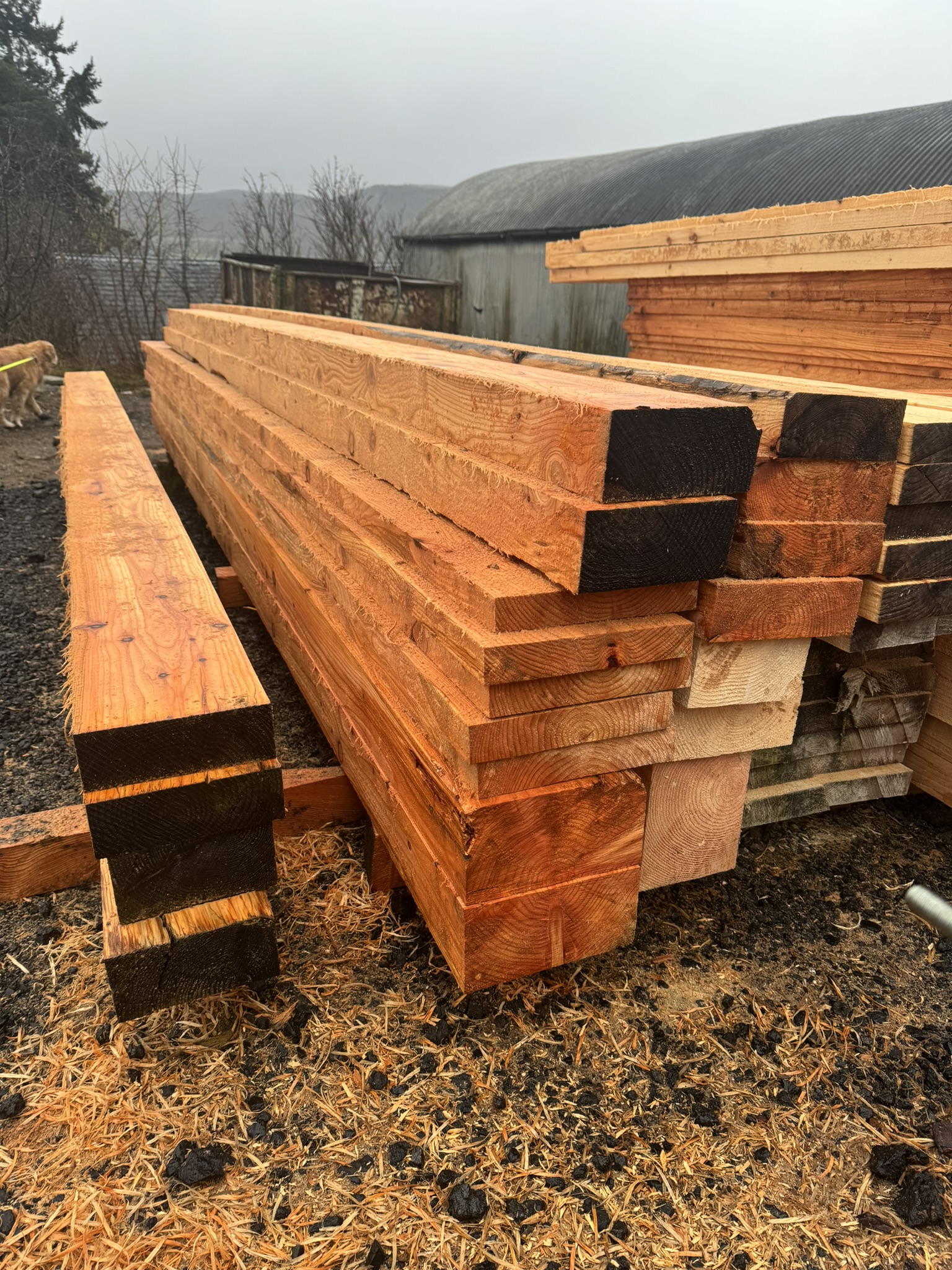 SAWMILL Pitcastle Estate