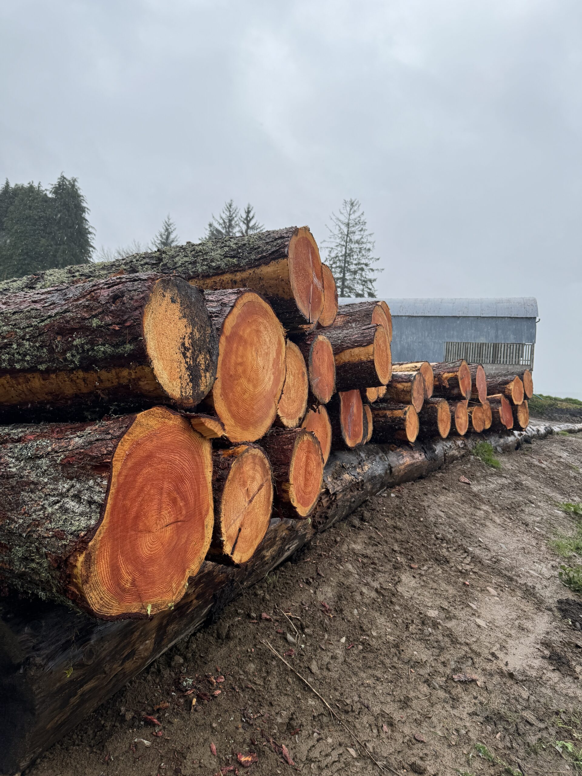 SAWMILL Pitcastle Estate