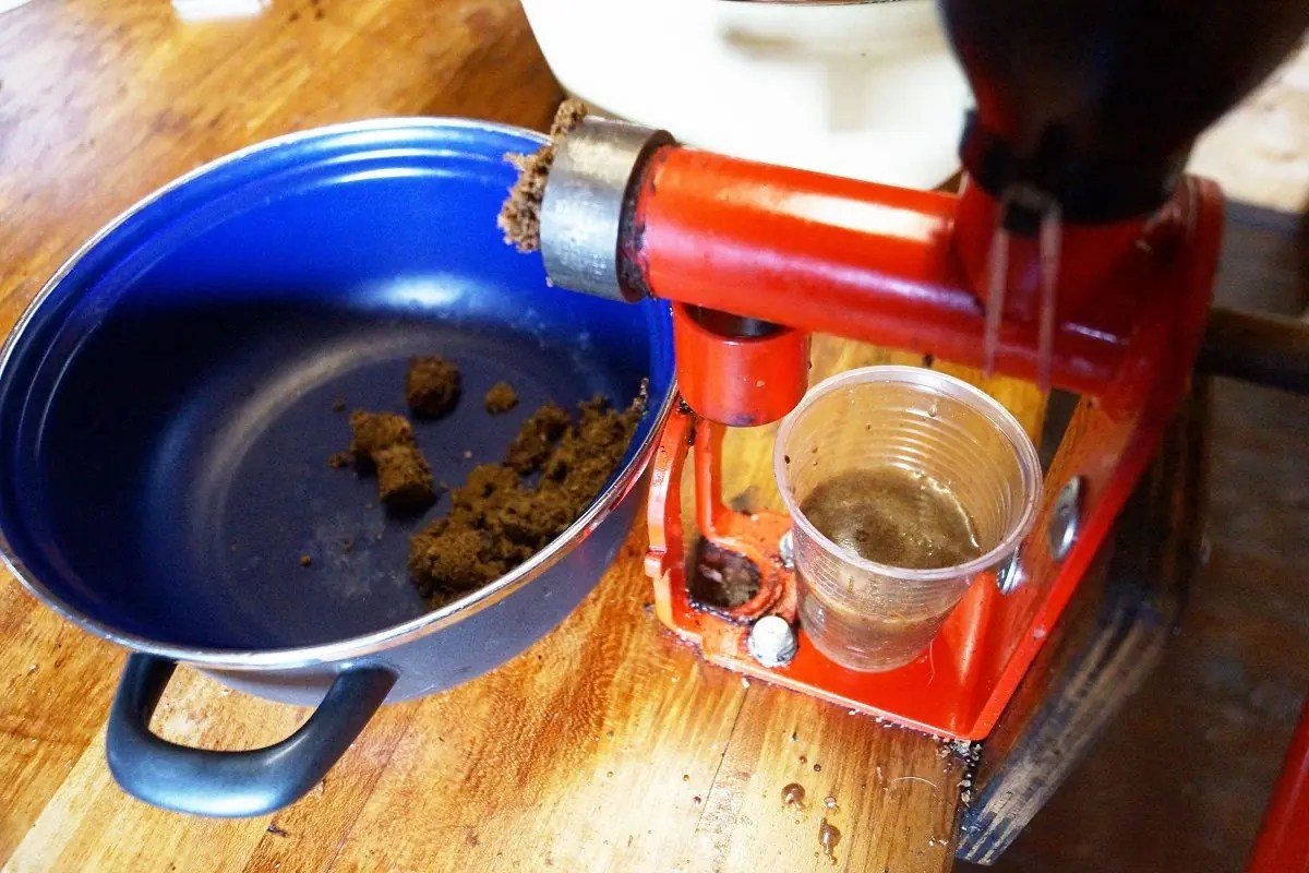 OLIVE OIL pressed from fresh olives make cold pressed oil at home.