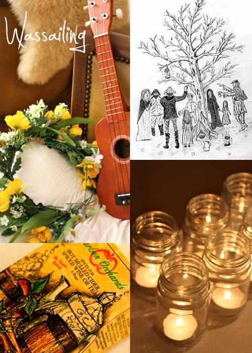 How we Wassailed our New Apple Tree PITH + VIGOR by Rochelle Greayer