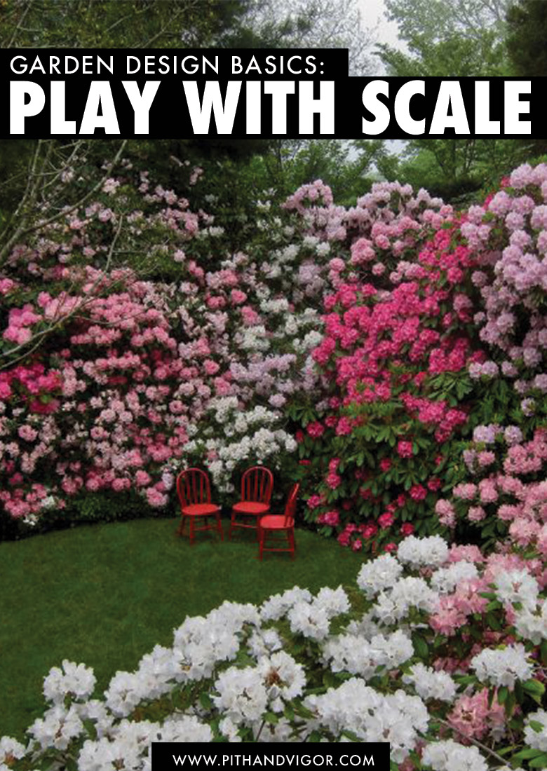 Garden Design Basics Play with Scale PITH + VIGOR