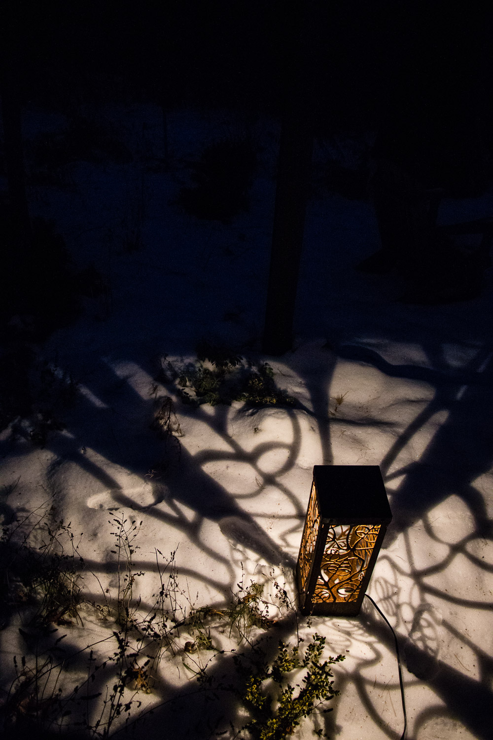 A Beautiful Winter With An Artistic Garden Light PITH + VIGOR