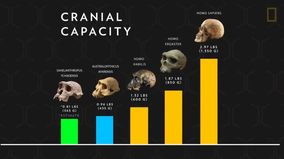 National Geographic Human Origins Pithy Summary