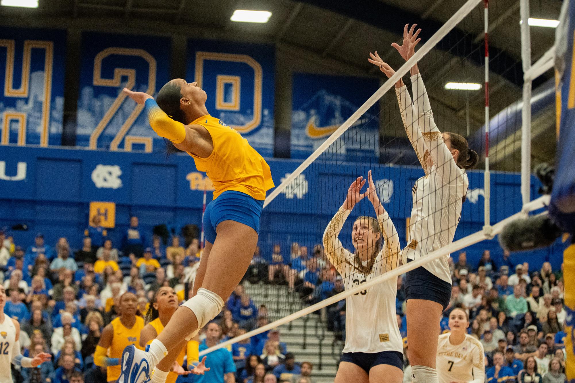 Photos Pitt volleyball gets past Notre Dame The Pitt News