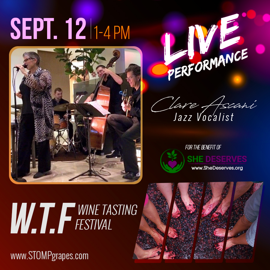 Wine Tasting Festival Raises Funds For Local Domestic Abuse Support