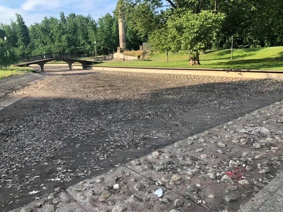 What the Muck?! Pittsburgh Parks Conservancy