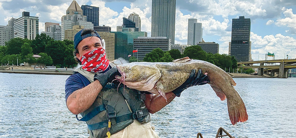 Pittsburgh’s Huge Flathead Catfish Rule the Rivers Pittsburgh Quarterly