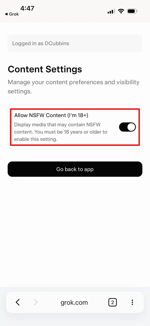 Grok's NSFW settings option appears to have been removed