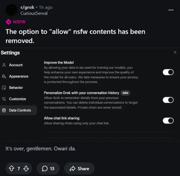 Grok's NSFW settings option appears to have been removed