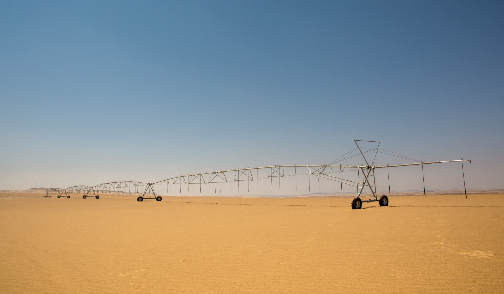 Greening the Desert Greening the Desert