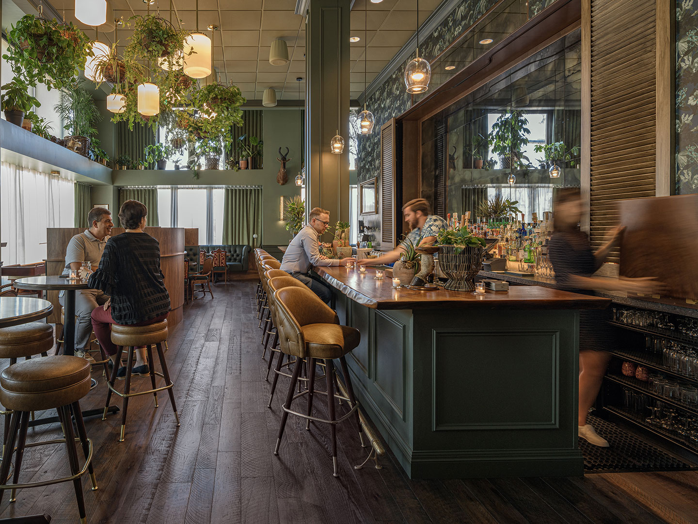 Water Bear Bar Pivot North Architecture